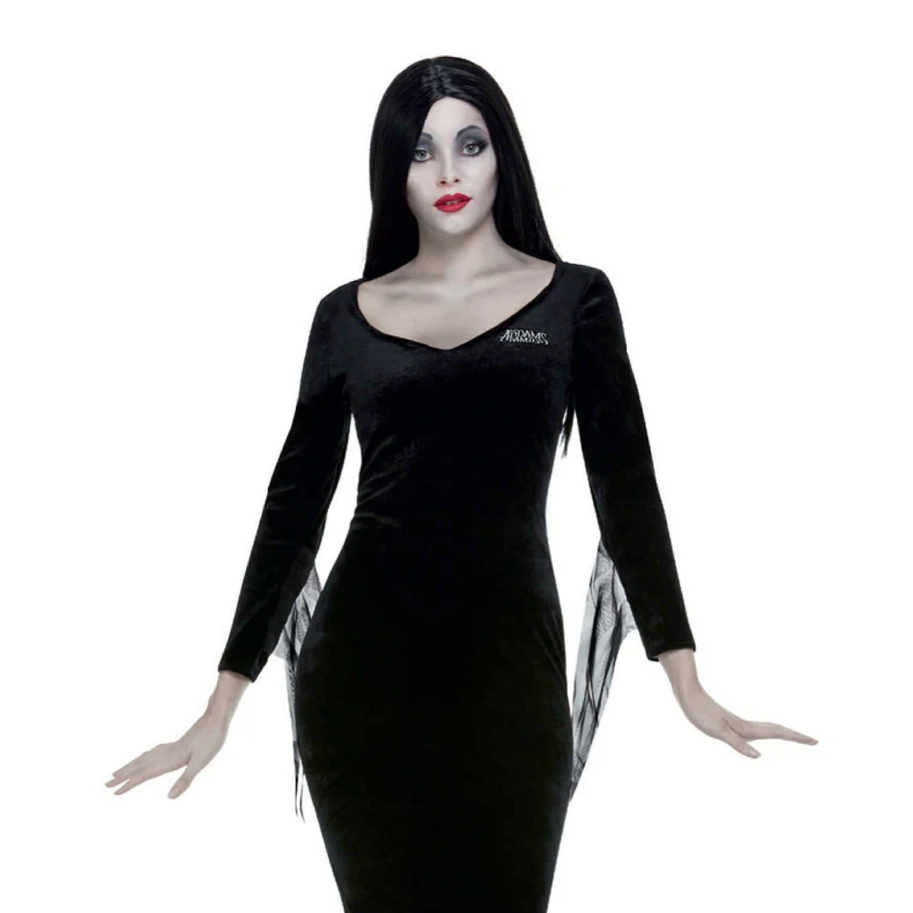 All Addams Family™ Fancy Dress Costumes & Accessories