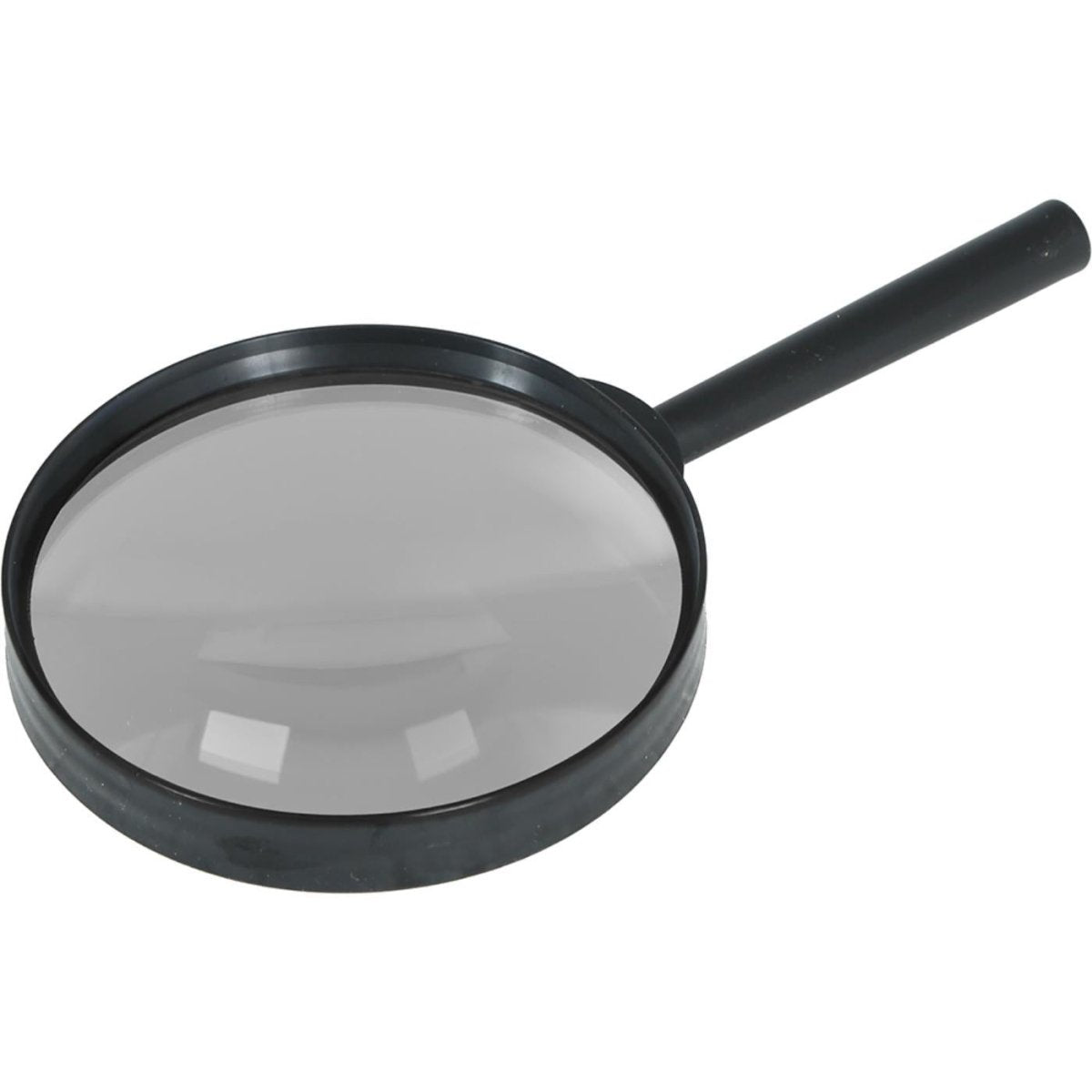 Fiestas Guirca - Detective Magnifying Glass - Fancy Dress Central