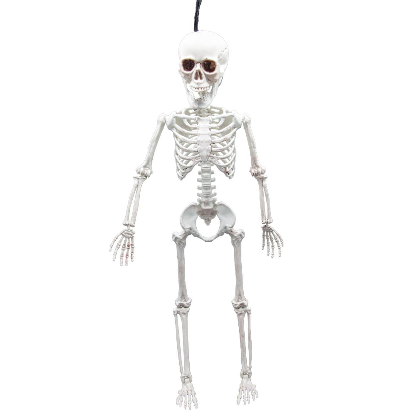 Pose-able Skeleton (60cm) - Party Decoration