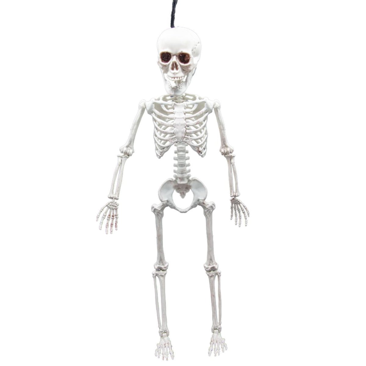 Wicked Costumes Ltd - Pose - able Skeleton (60cm) - Party Decoration - Fancy Dress Central