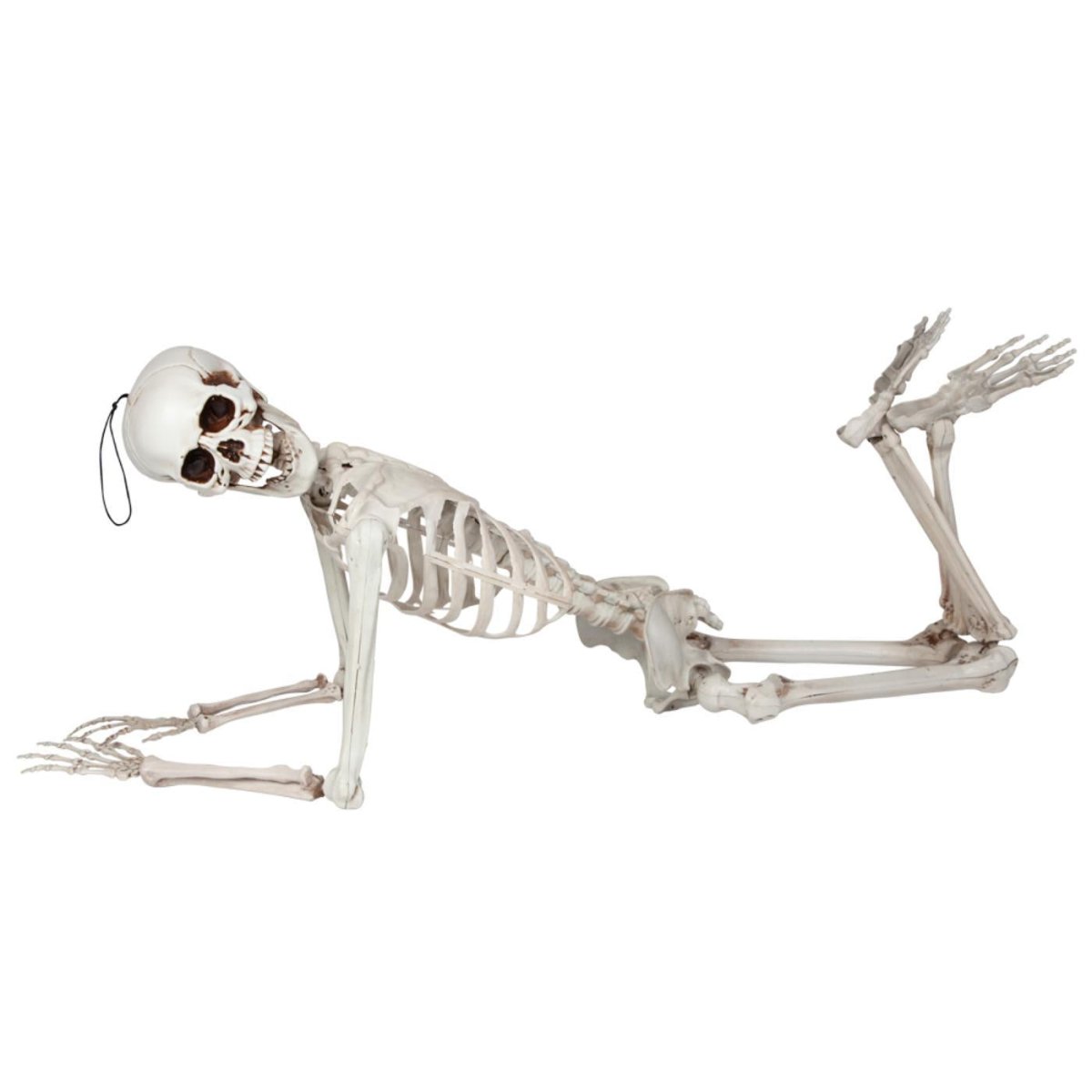 Wicked Costumes Ltd - Pose - able Skeleton (150cm) - Party Decoration - Fancy Dress Central