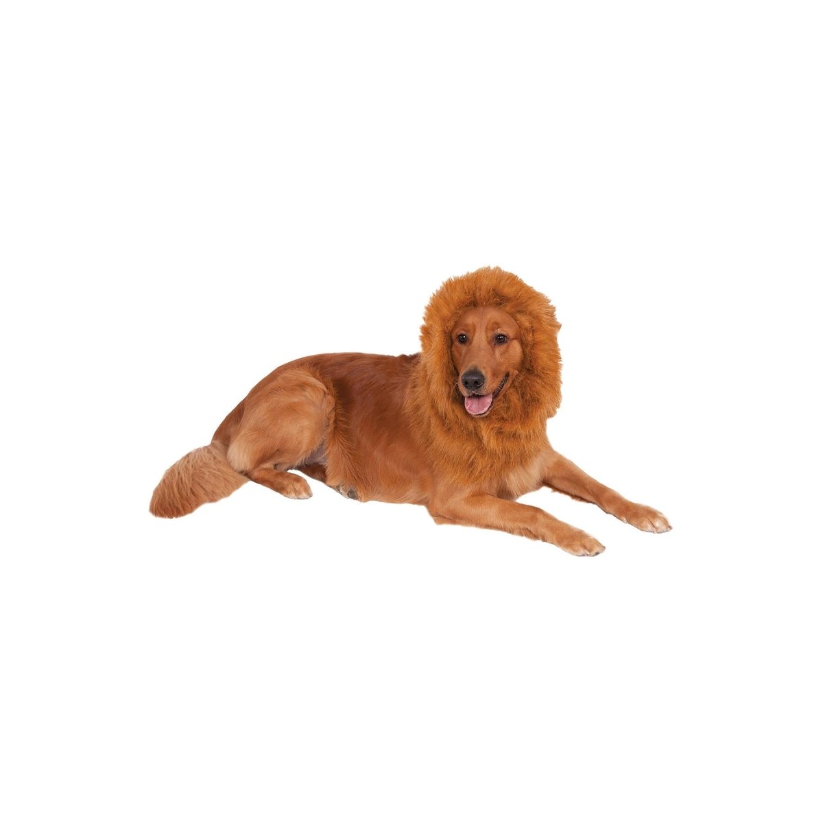 Rubies - Lion's Mane Pet Costume - Fancy Dress Central