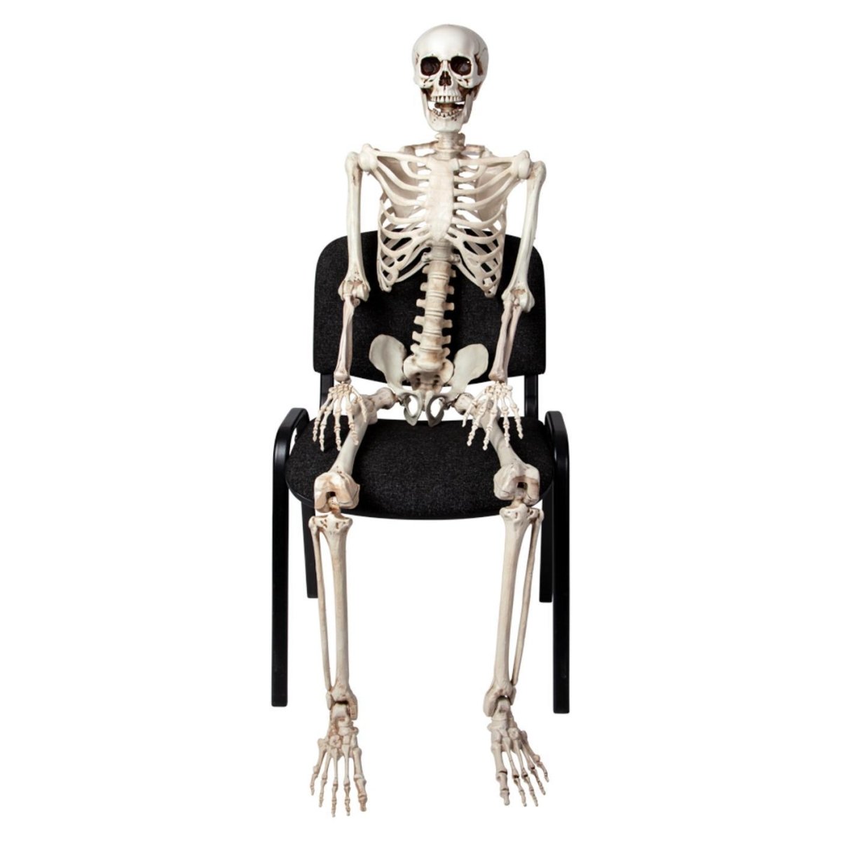Wicked Costumes Ltd - Pose - able Skeleton (150cm) - Party Decoration - Fancy Dress Central