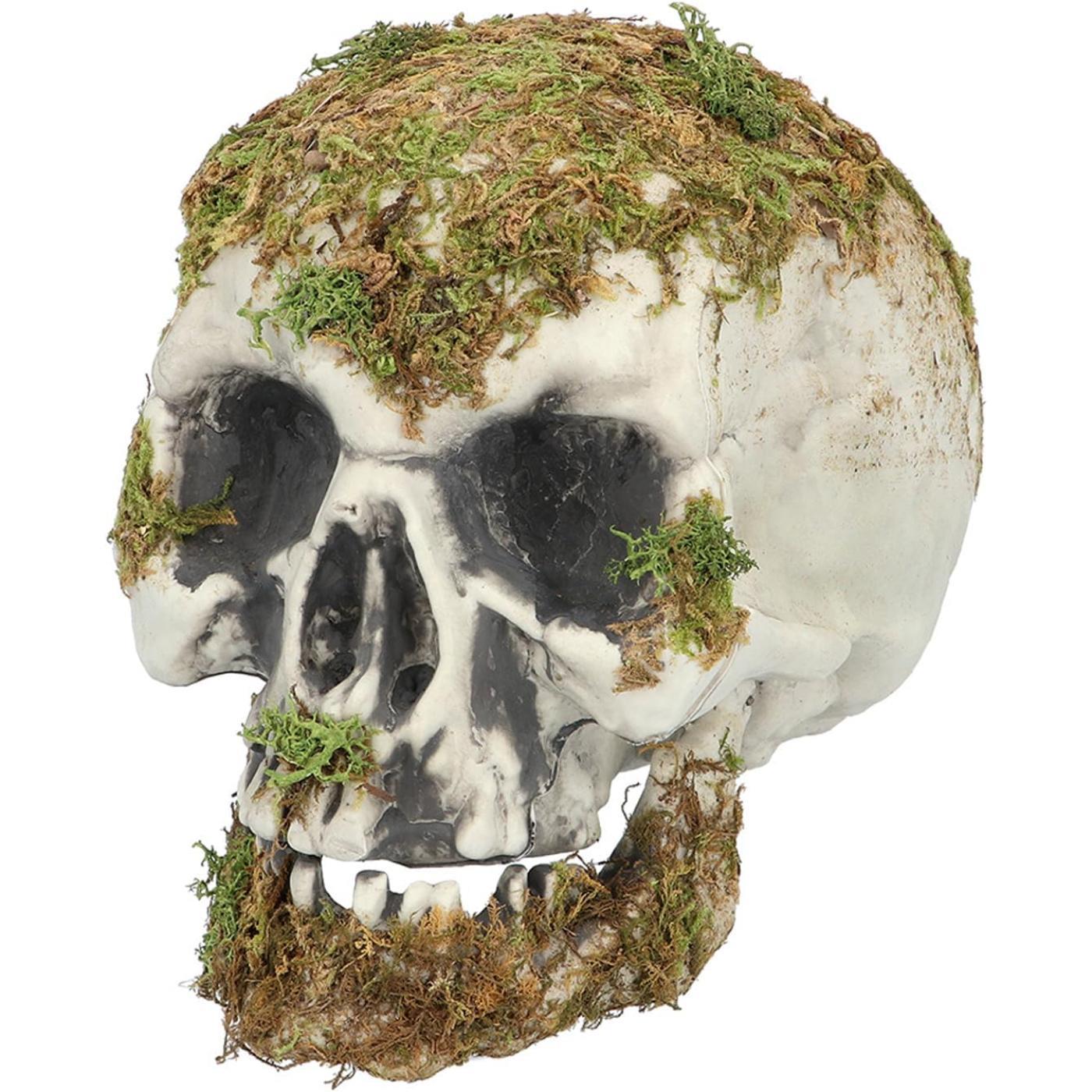 Swamp Skull - Party Decoration