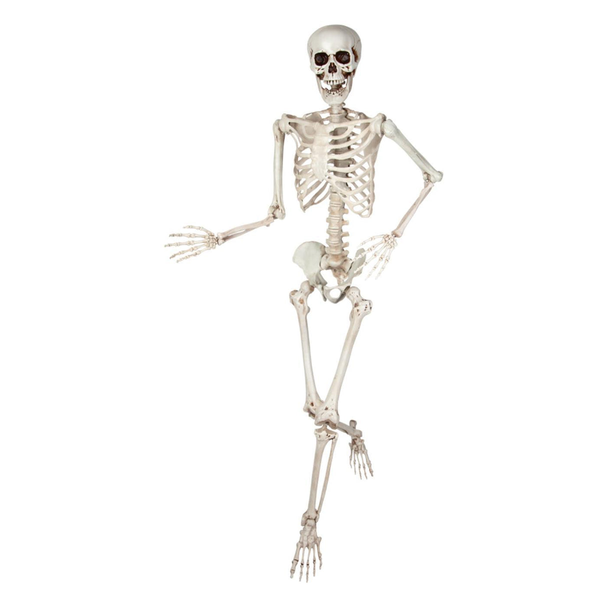 Pose-able Skeleton (150cm) - Party Decoration