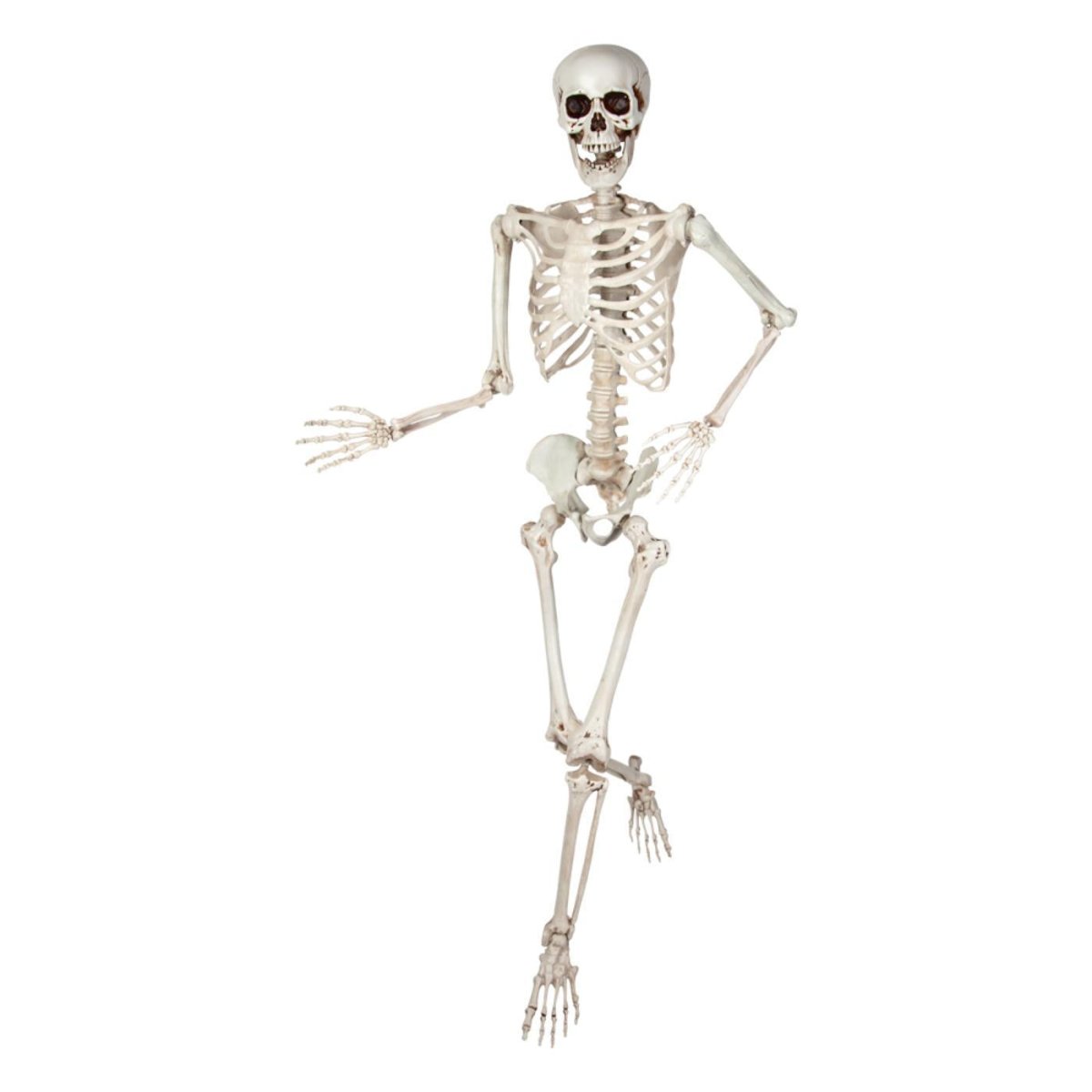 Wicked Costumes Ltd - Pose - able Skeleton (150cm) - Party Decoration - Fancy Dress Central