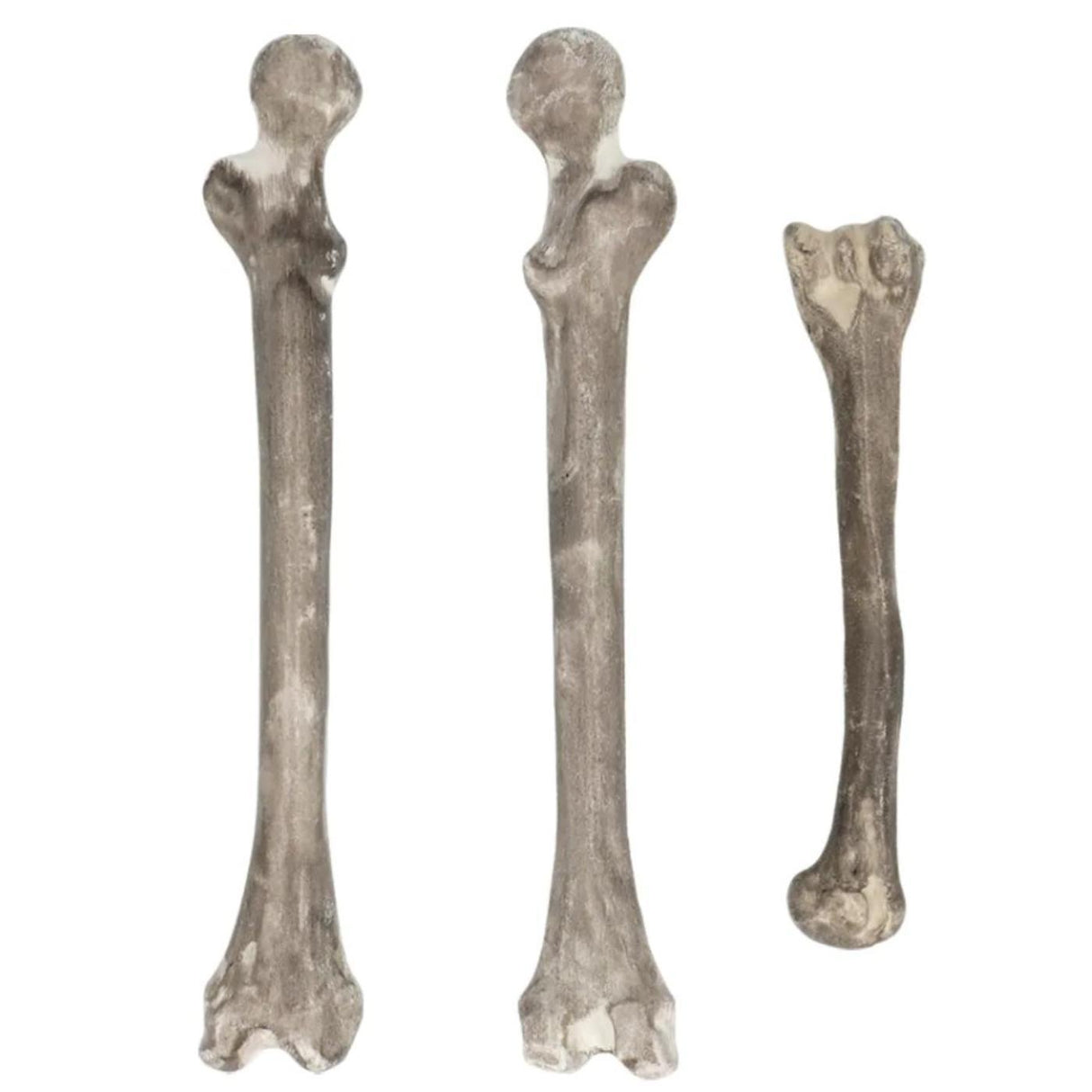 Skull & Bones Set (6 Piece) - Party Decoration