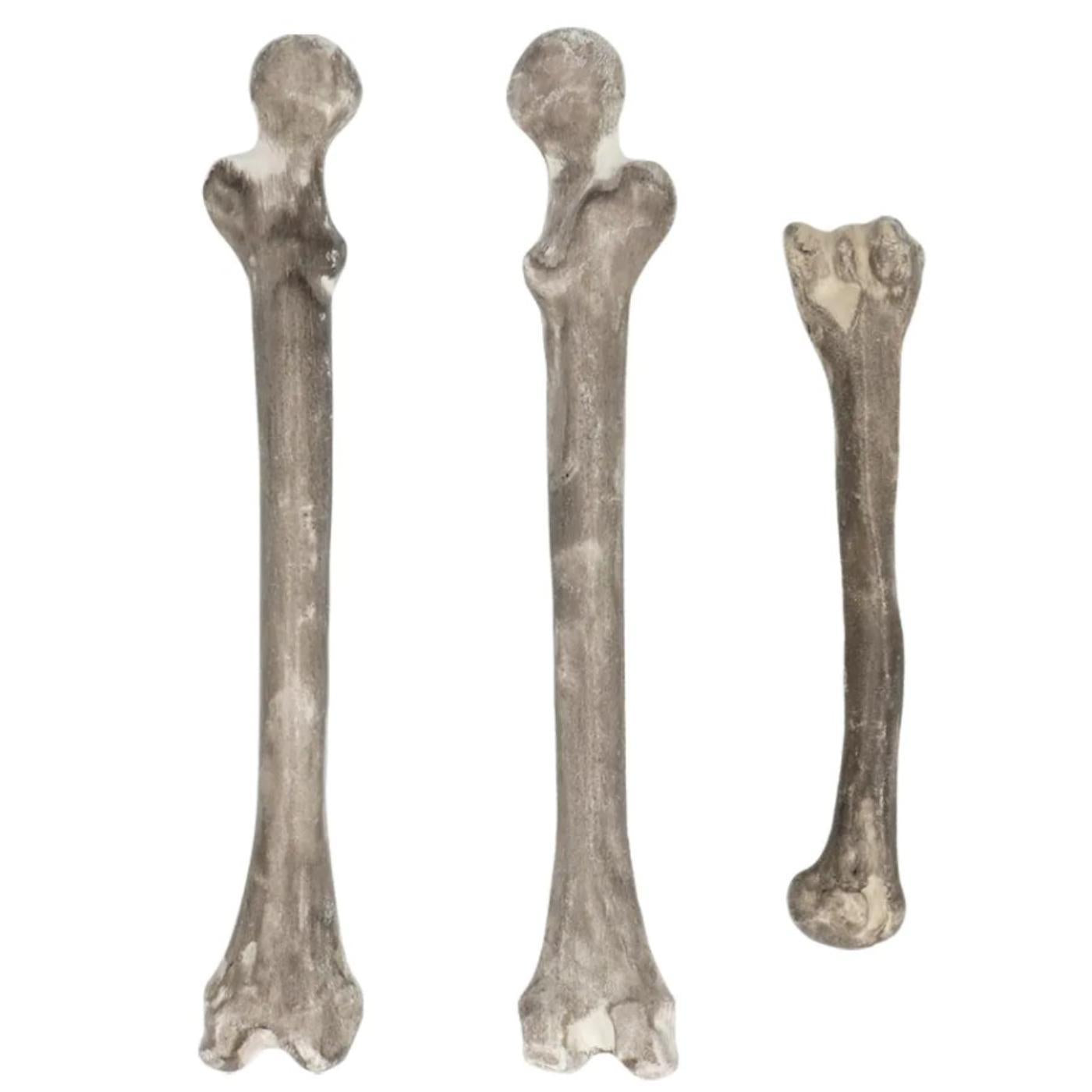 Skull & Bones Set (6 Piece) - Party Decoration