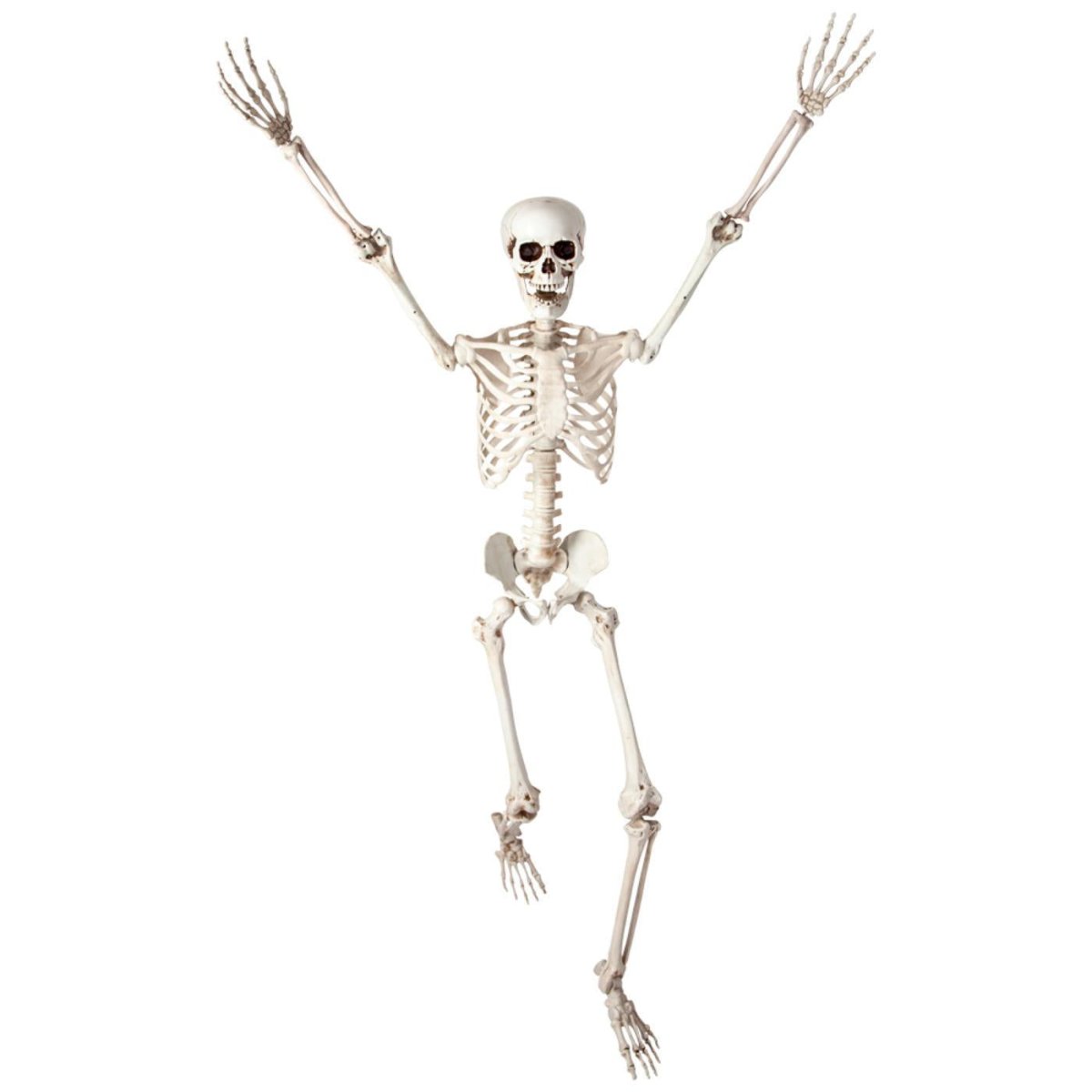 Wicked Costumes Ltd - Pose - able Skeleton (150cm) - Party Decoration - Fancy Dress Central