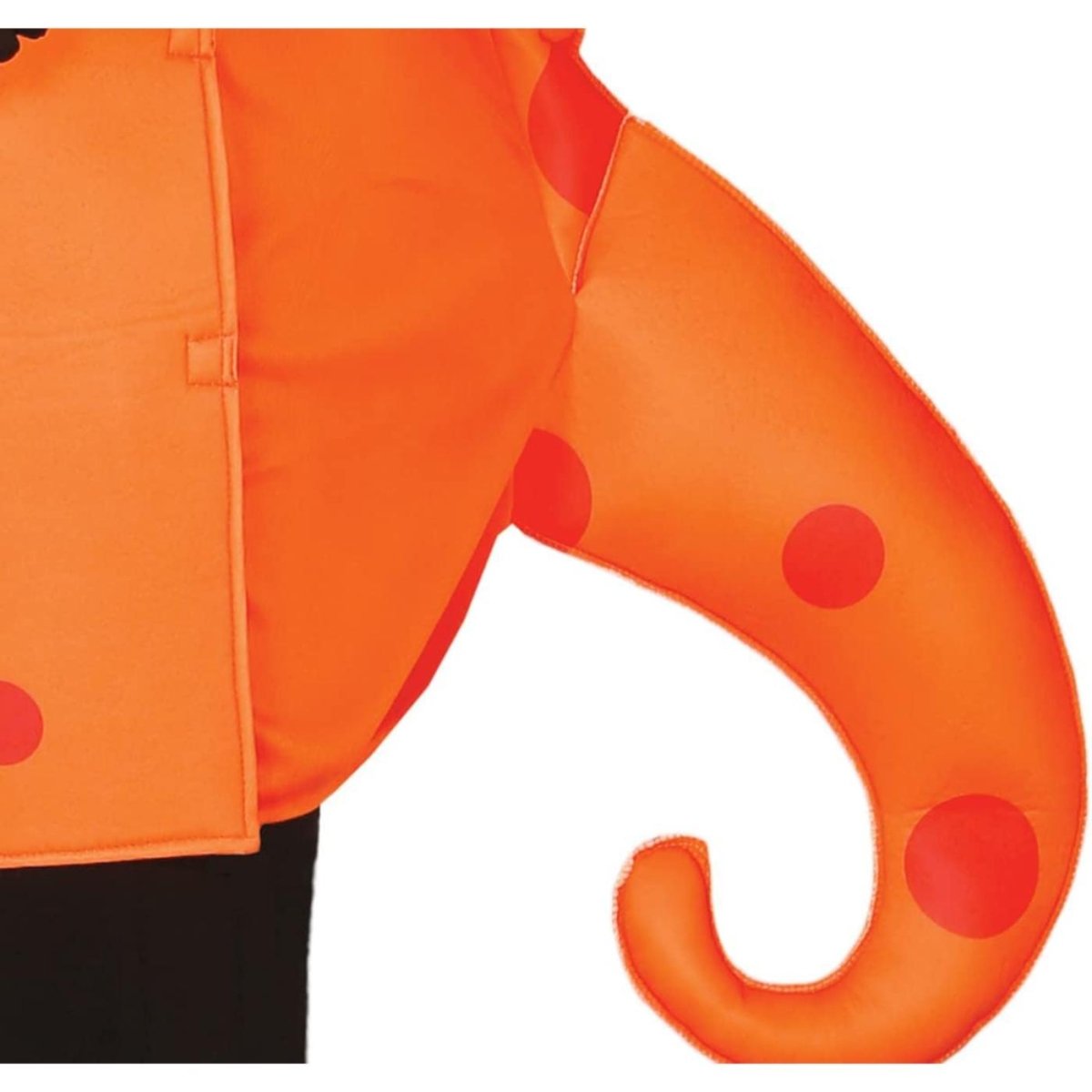 Fiestas Guirca - Seahorse Costume - Men - Fancy Dress Central