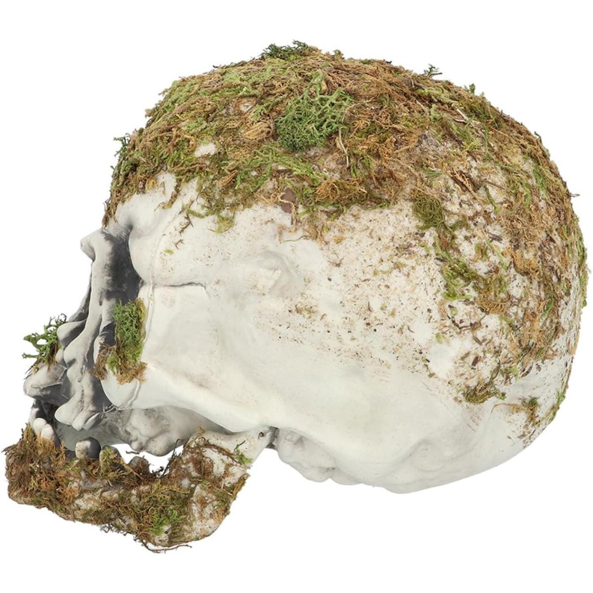 Boland - Swamp Skull - Party Decoration - Fancy Dress Central