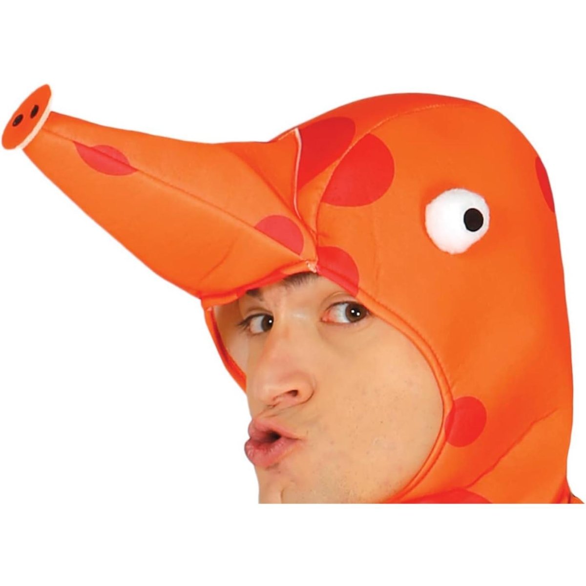 Fiestas Guirca - Seahorse Costume - Men - Fancy Dress Central
