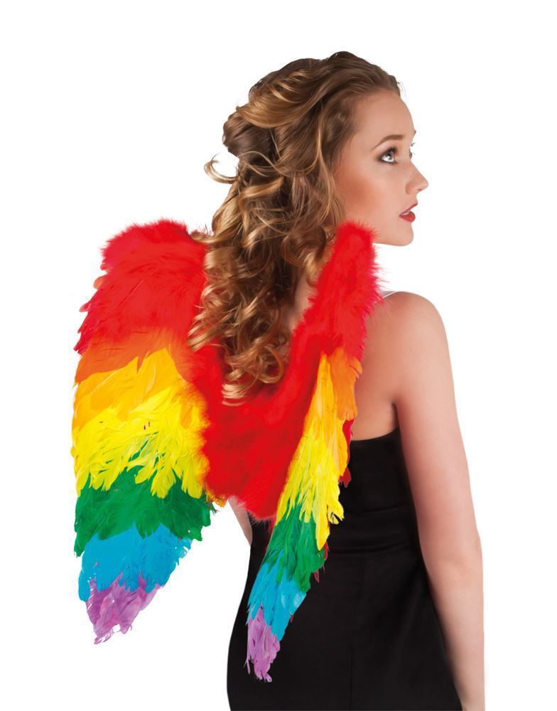 Boland - Angel Wings 50 x 50cm (Rainbow) - Adult - Fancy Dress Central