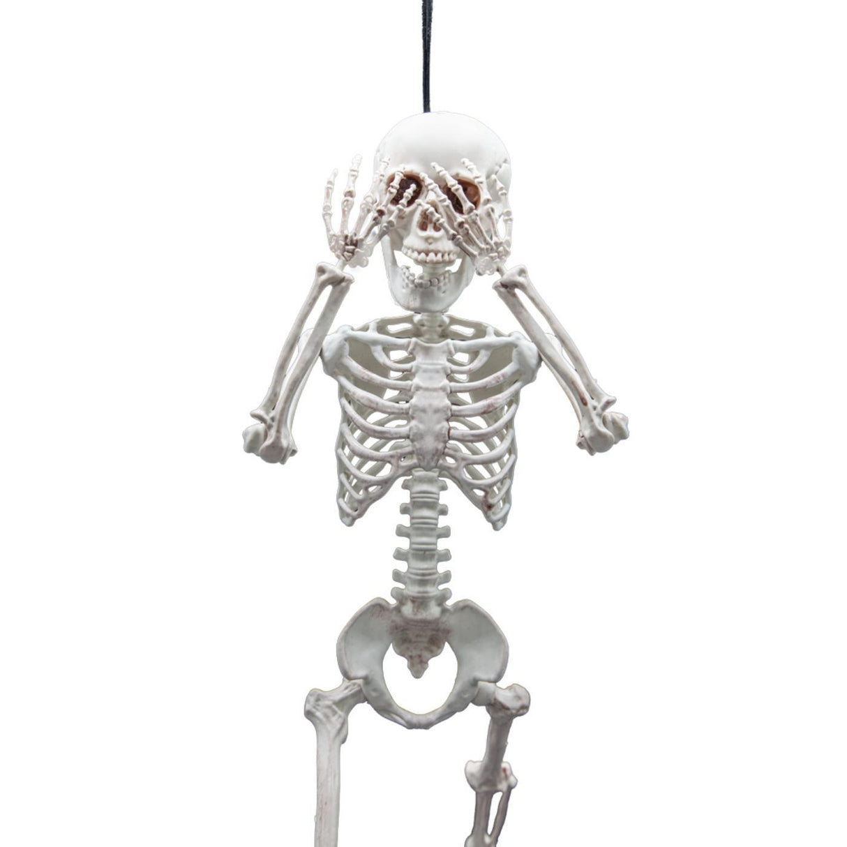 Pose-able Skeleton (60cm) - Party Decoration