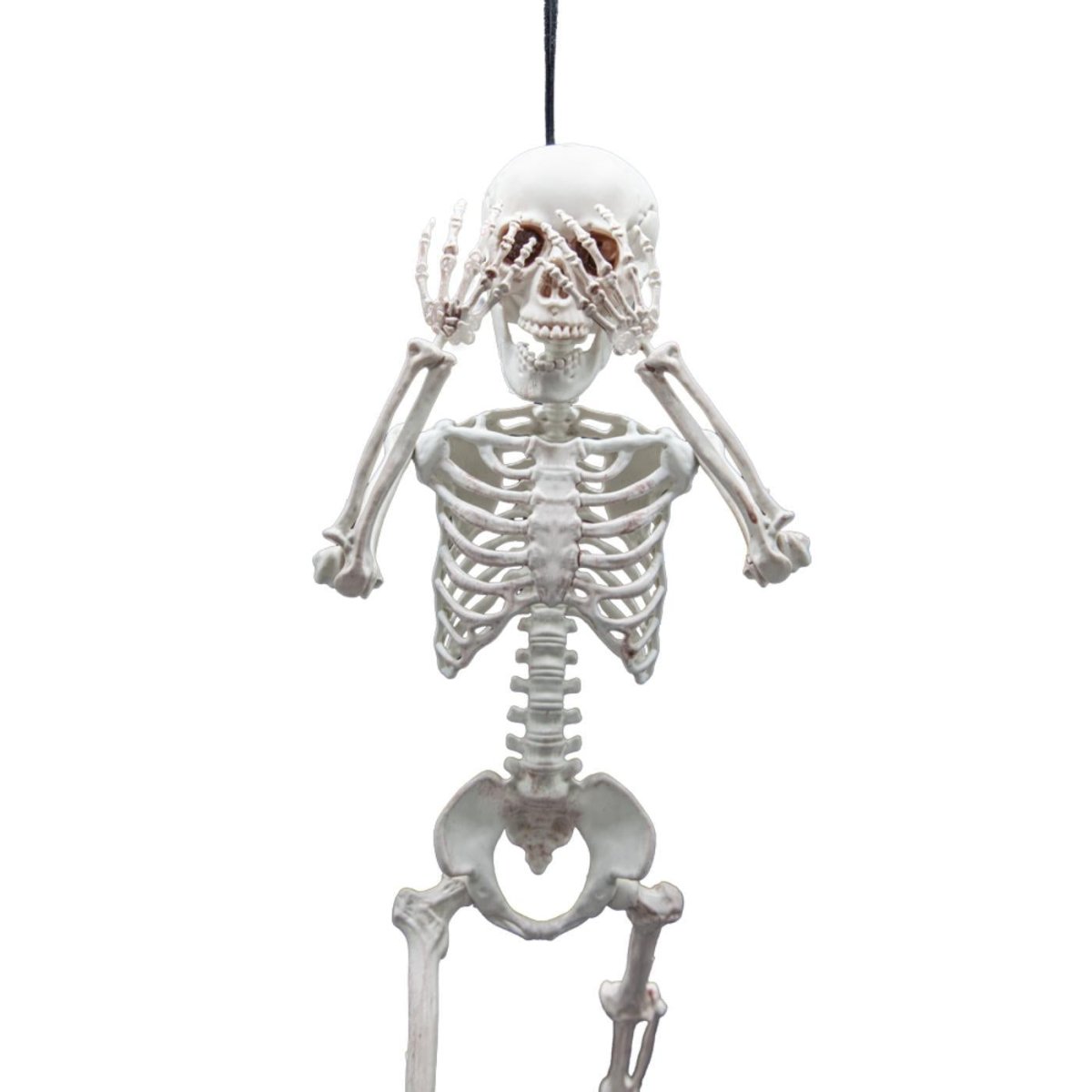 Wicked Costumes Ltd - Pose - able Skeleton (60cm) - Party Decoration - Fancy Dress Central