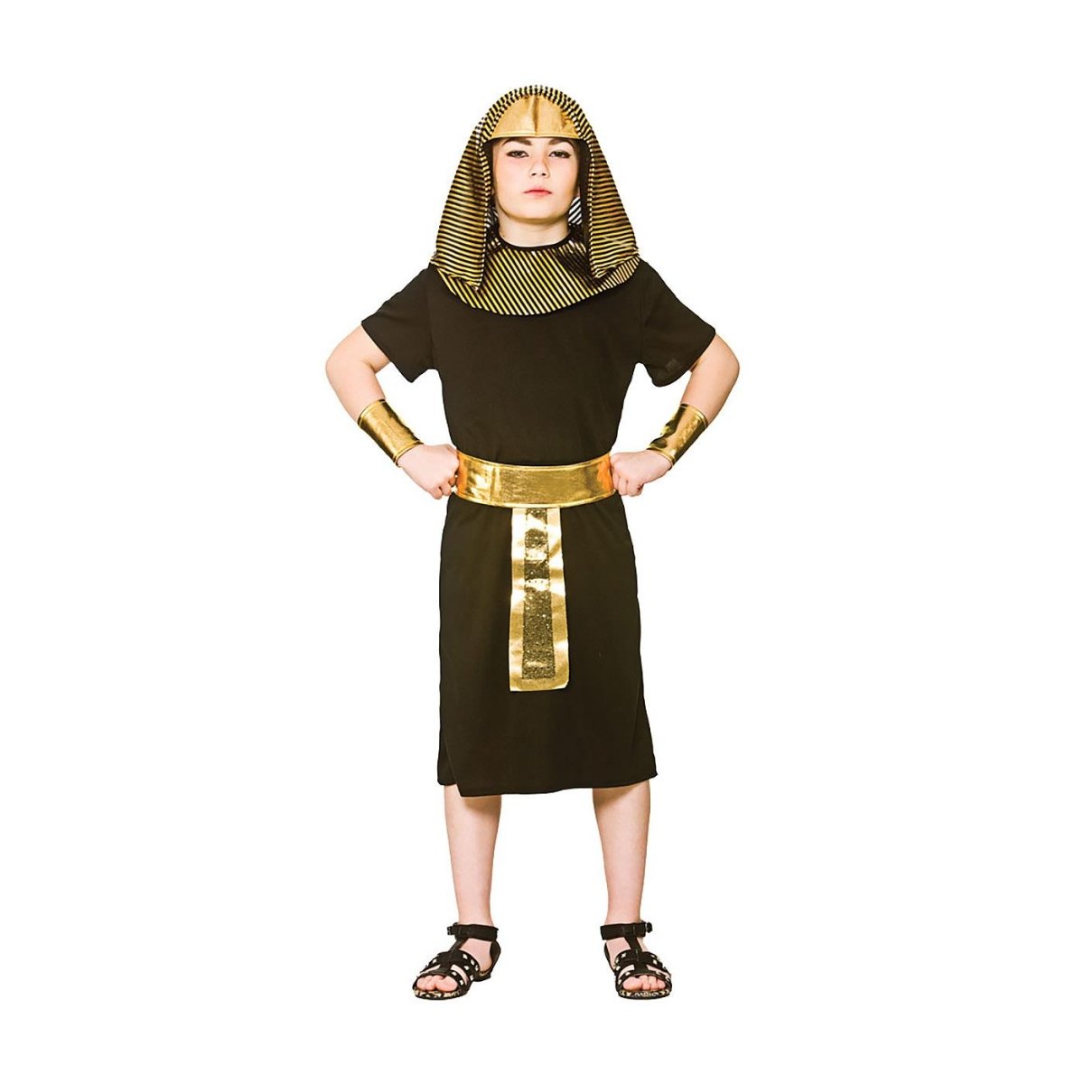 Wicked Costumes - Egyptian King Costume - Boys - Fancy Dress Central