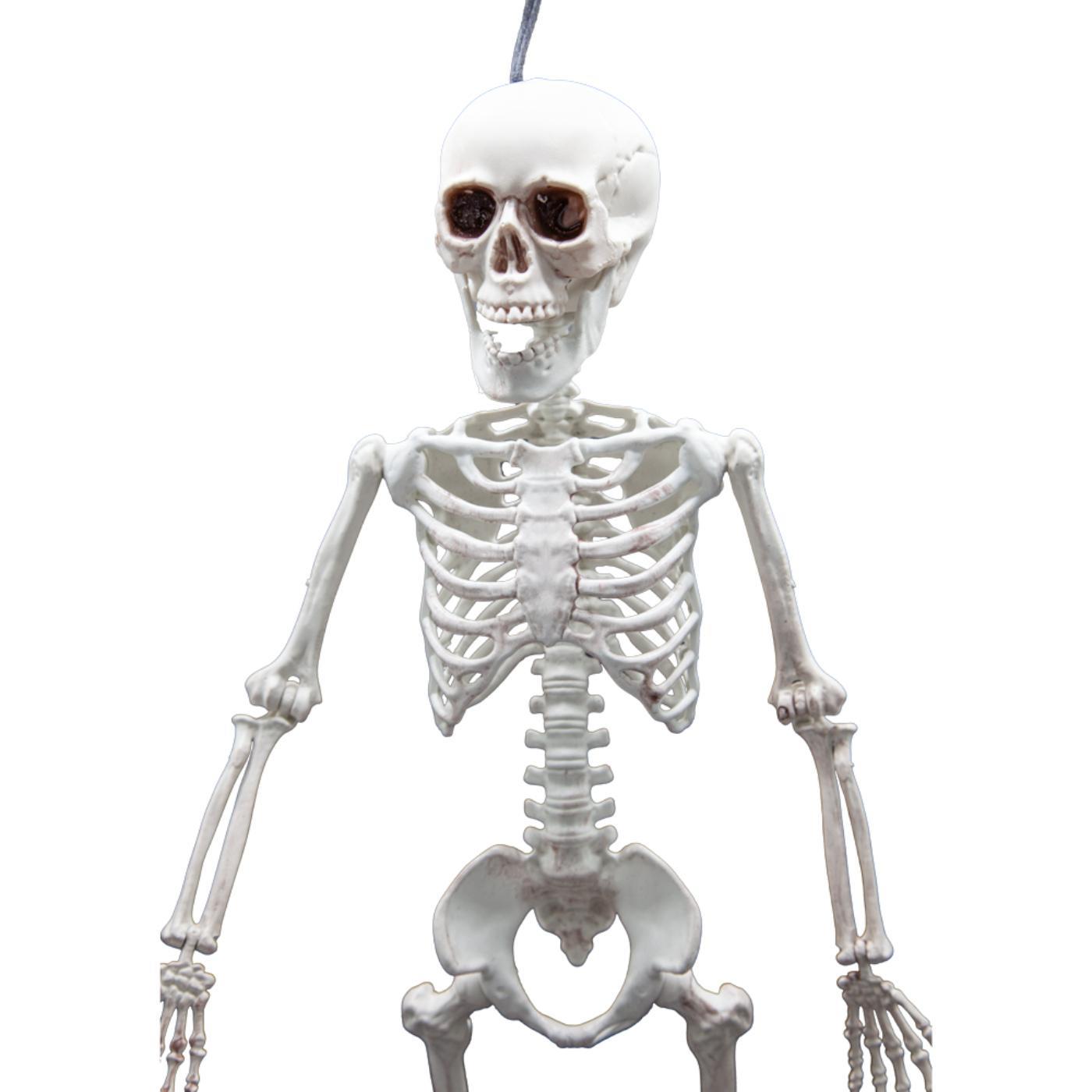 Pose-able Skeleton (60cm) - Party Decoration