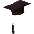 Wicked Costumes Teacher Graduate Mortar Hat Adult Fancy Dress Accessory