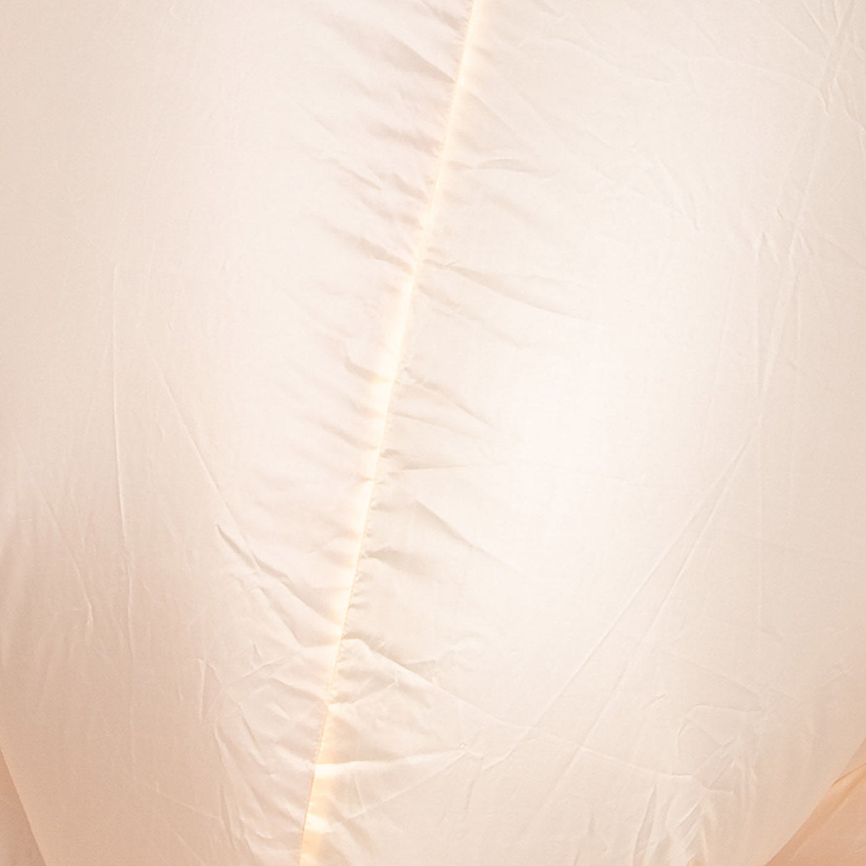 Inflatable Turkey Costume - Adult