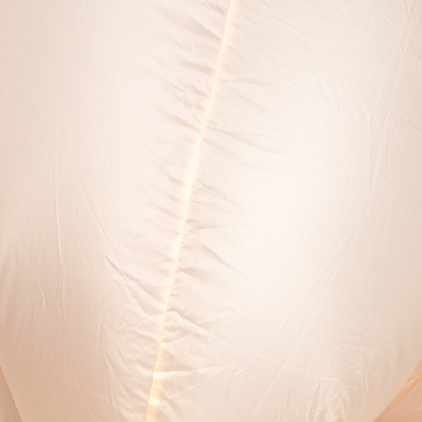 Inflatable Turkey Costume - Adult