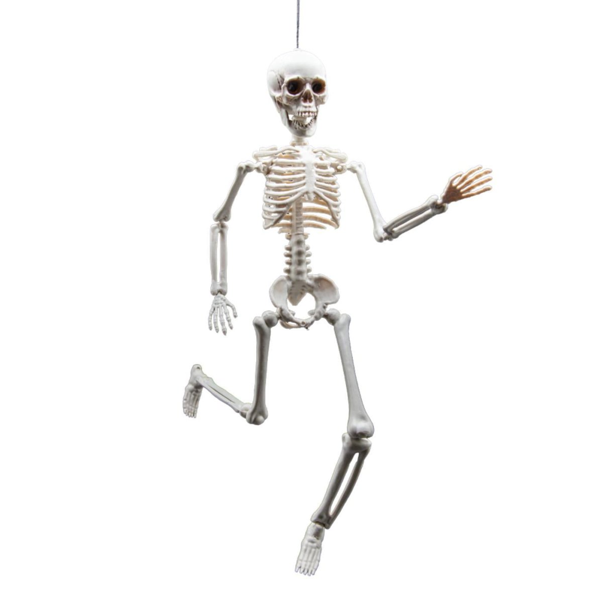 Wicked Costumes Ltd - Pose - able Skeleton (40cm) - Party Decoration - Fancy Dress Central