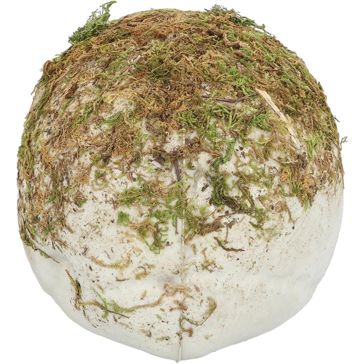 Swamp Skull - Party Decoration