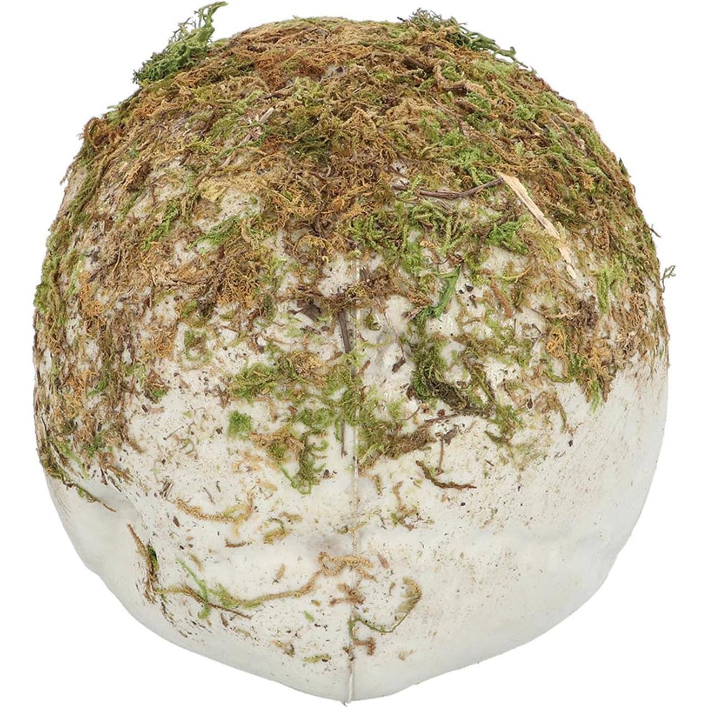 Swamp Skull - Party Decoration