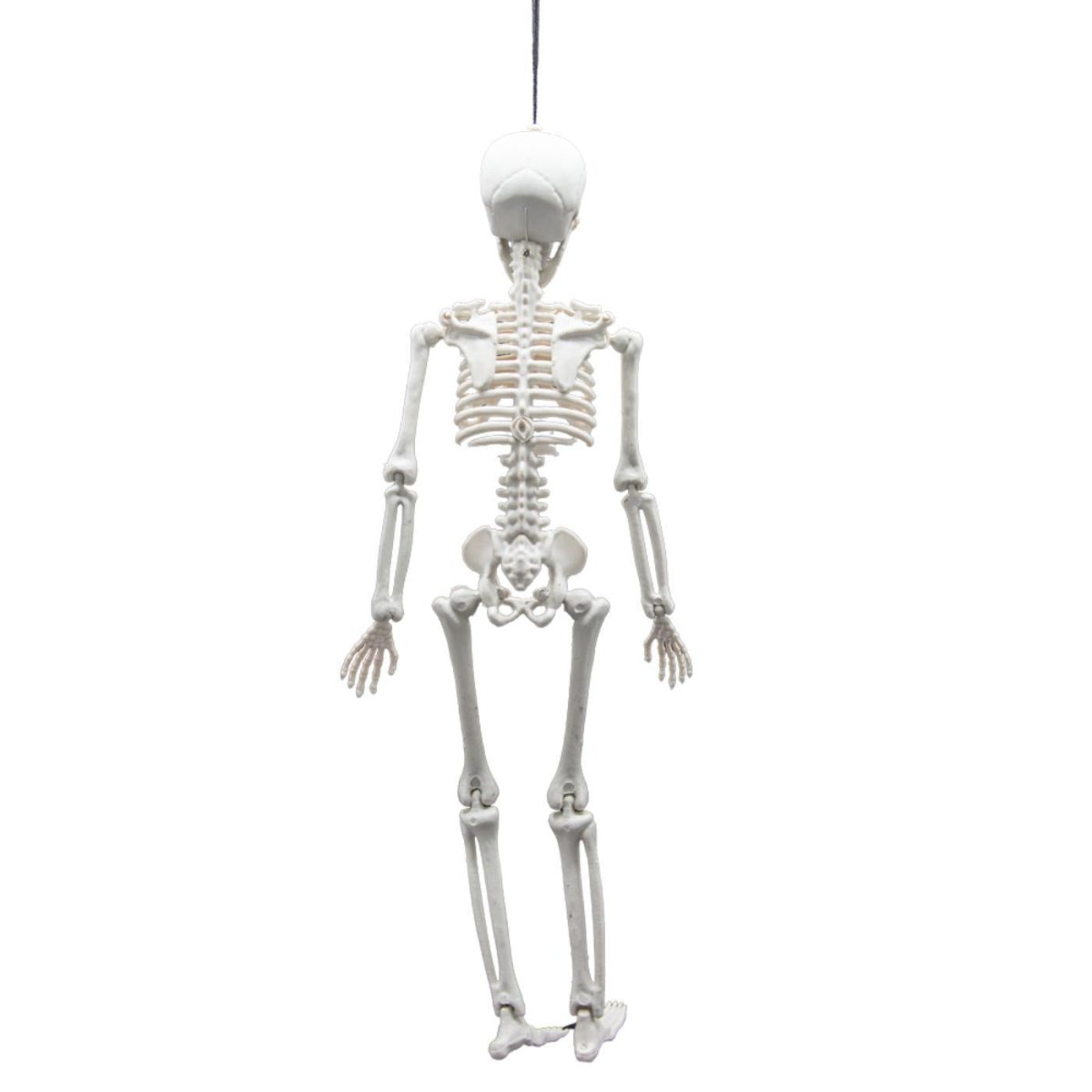 Wicked Costumes Ltd - Pose - able Skeleton (40cm) - Party Decoration - Fancy Dress Central