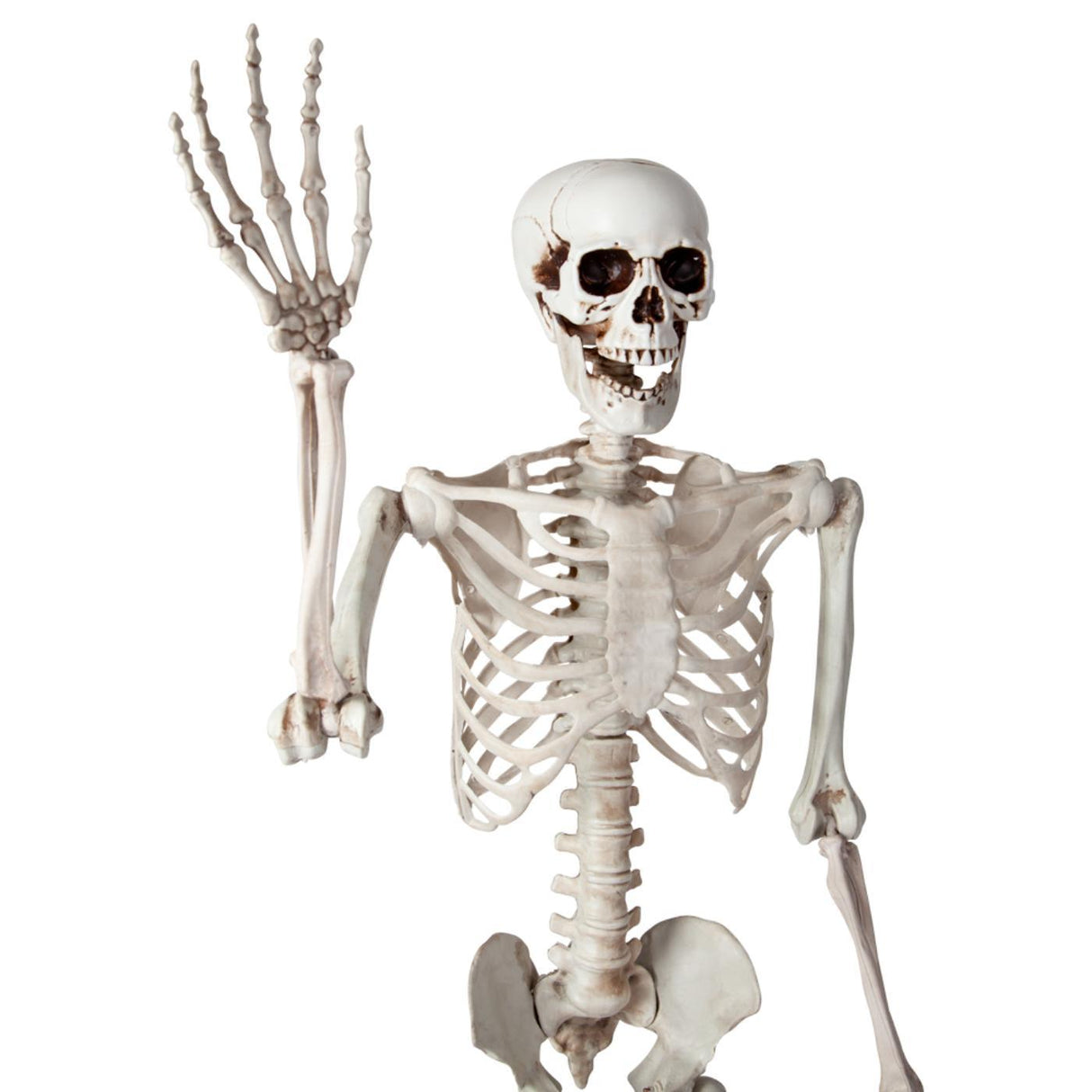 Pose-able Skeleton (150cm) - Party Decoration