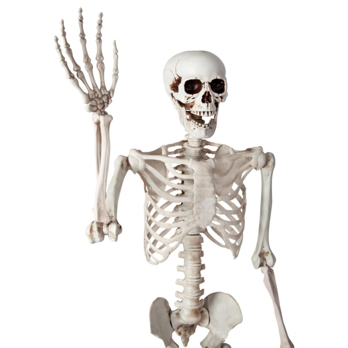 Wicked Costumes Ltd - Pose - able Skeleton (150cm) - Party Decoration - Fancy Dress Central