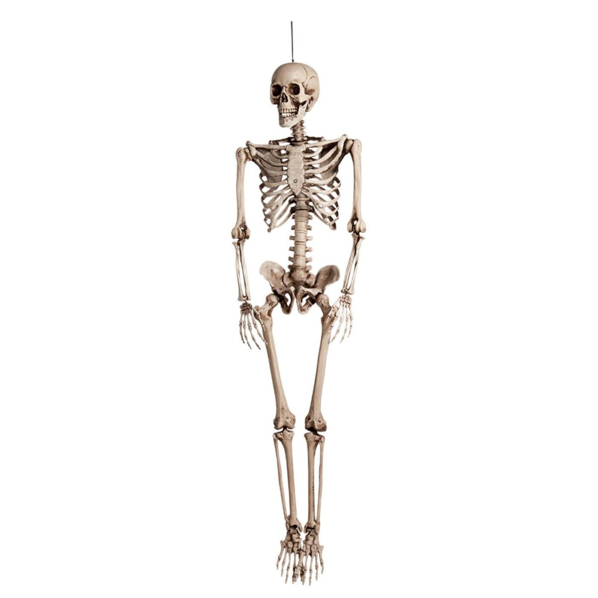 Boland - Skeleton Hanging Decoration - Fancy Dress Central