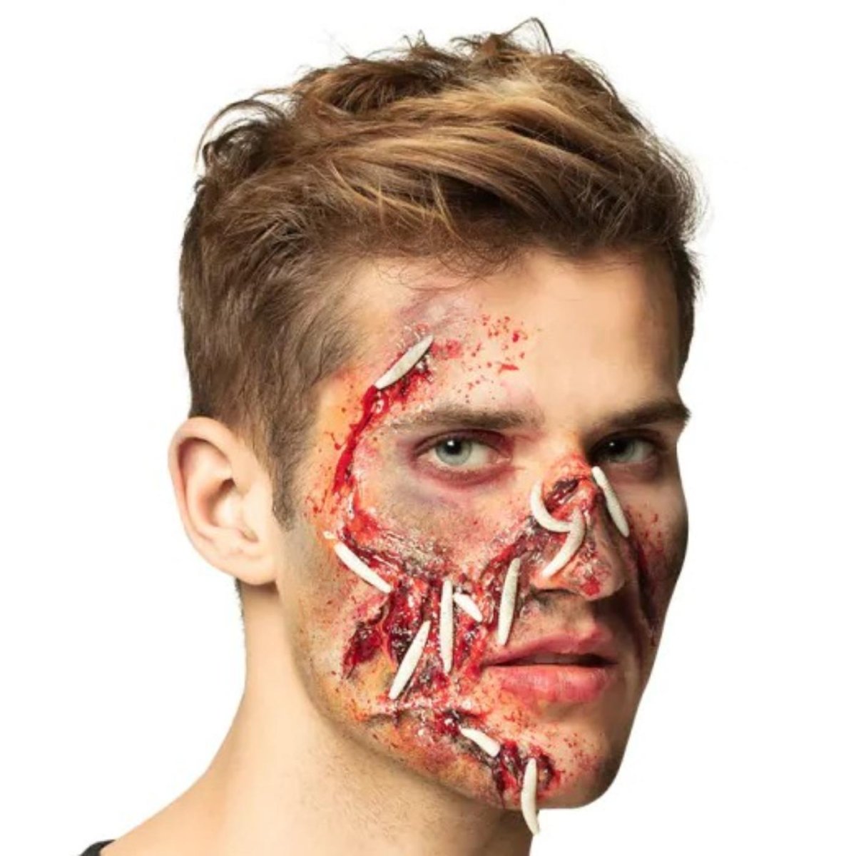 Boland - Make Up Kit - Rotting Flesh - Fancy Dress Central