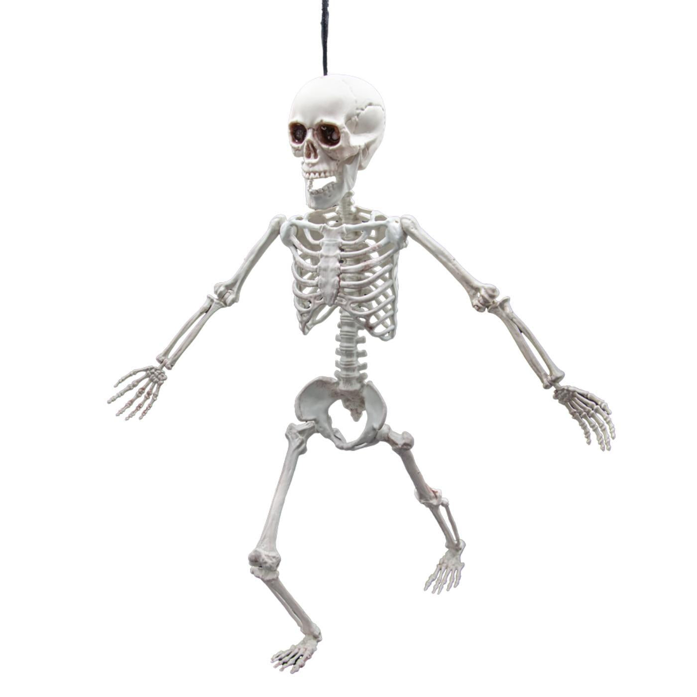 Pose-able Skeleton (60cm) - Party Decoration