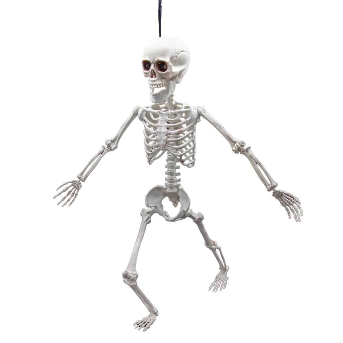 Wicked Costumes Ltd - Pose - able Skeleton (60cm) - Party Decoration - Fancy Dress Central