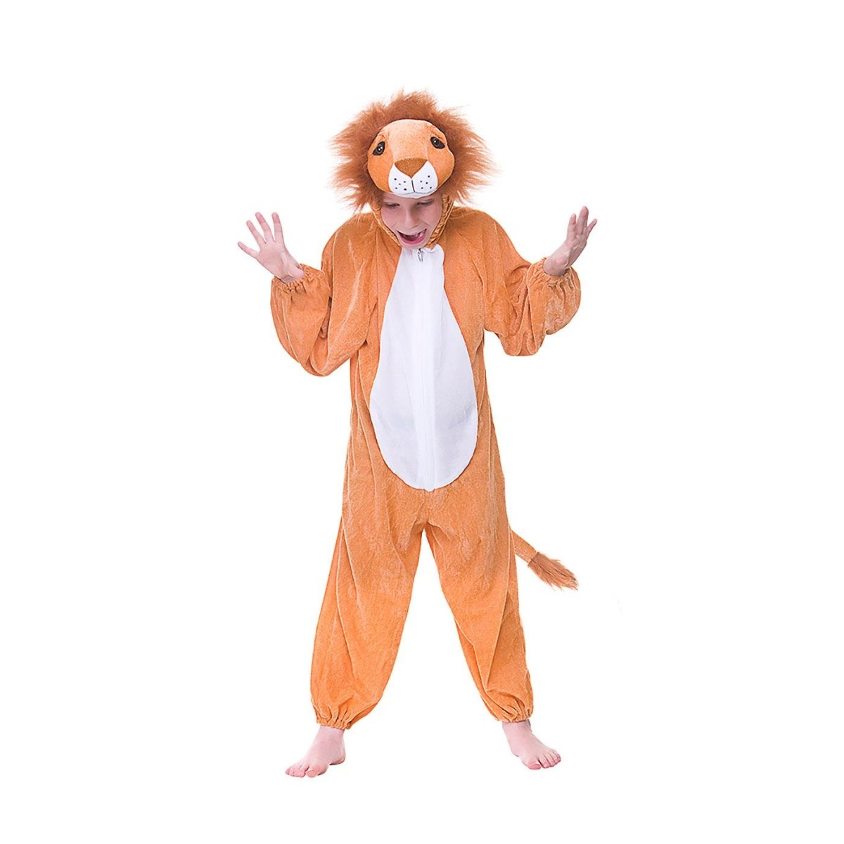 Wicked Costumes - Lion Costume - Child - Fancy Dress Central