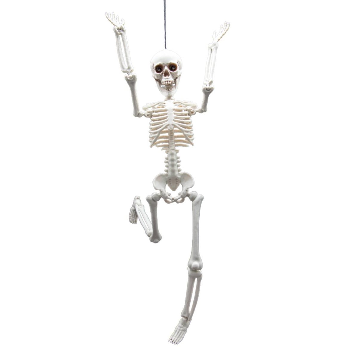 Wicked Costumes Ltd - Pose - able Skeleton (40cm) - Party Decoration - Fancy Dress Central
