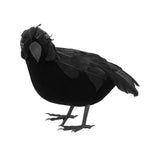 Crow