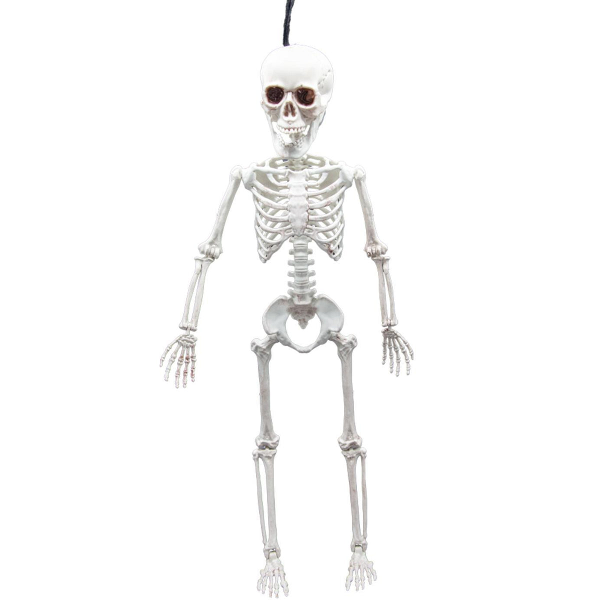 Pose-able Skeleton (60cm) - Party Decoration