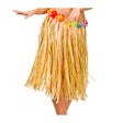 Wicked Costumes - Hula Skirt 60cm (Natural) - Women - Fancy Dress Central