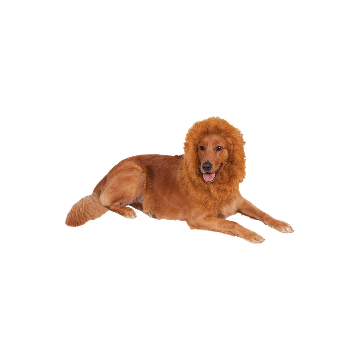 Lion's Mane Pet Costume