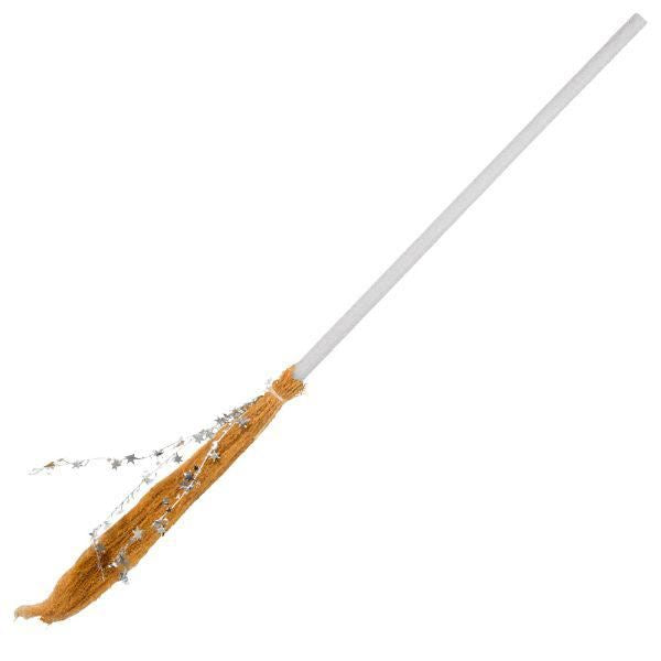 Silver Witch Broom - Child