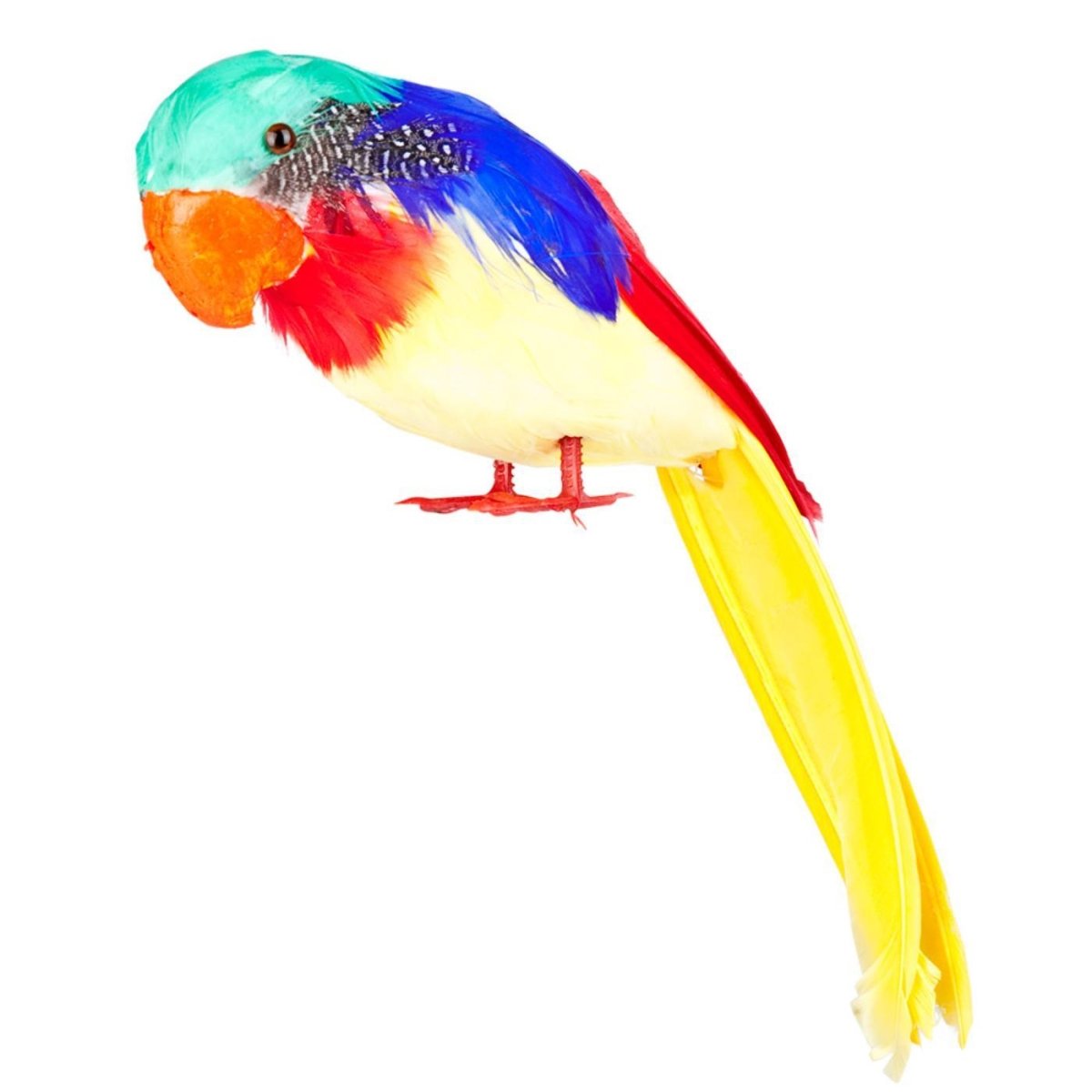 Boland - Parrot - Party Decoration - Fancy Dress Central