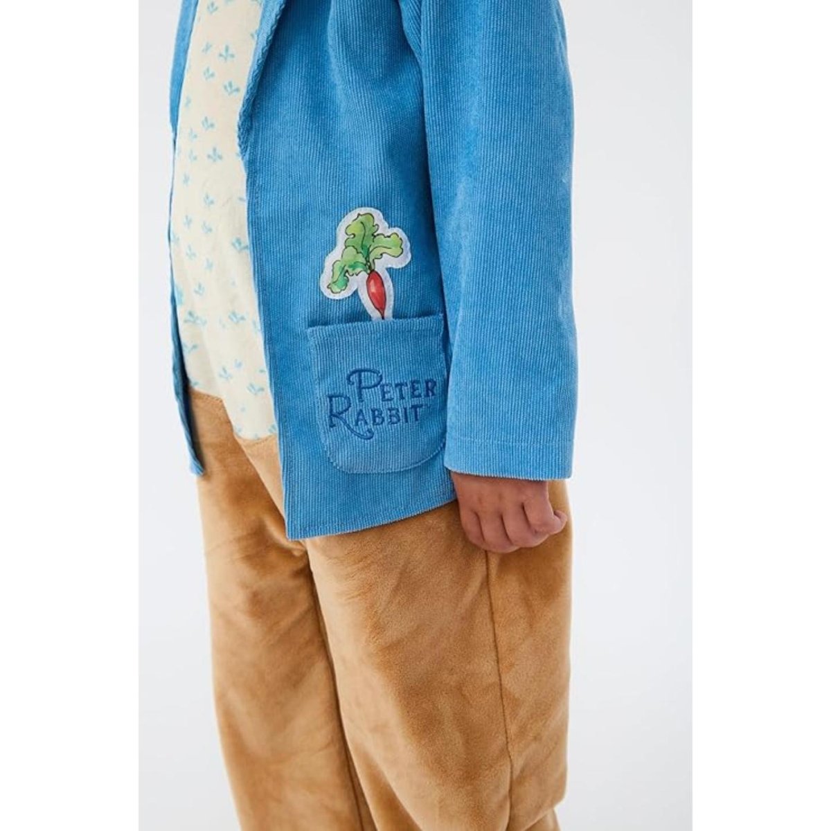 Blues Group - Peter Rabbit Costume - Child - Fancy Dress Central