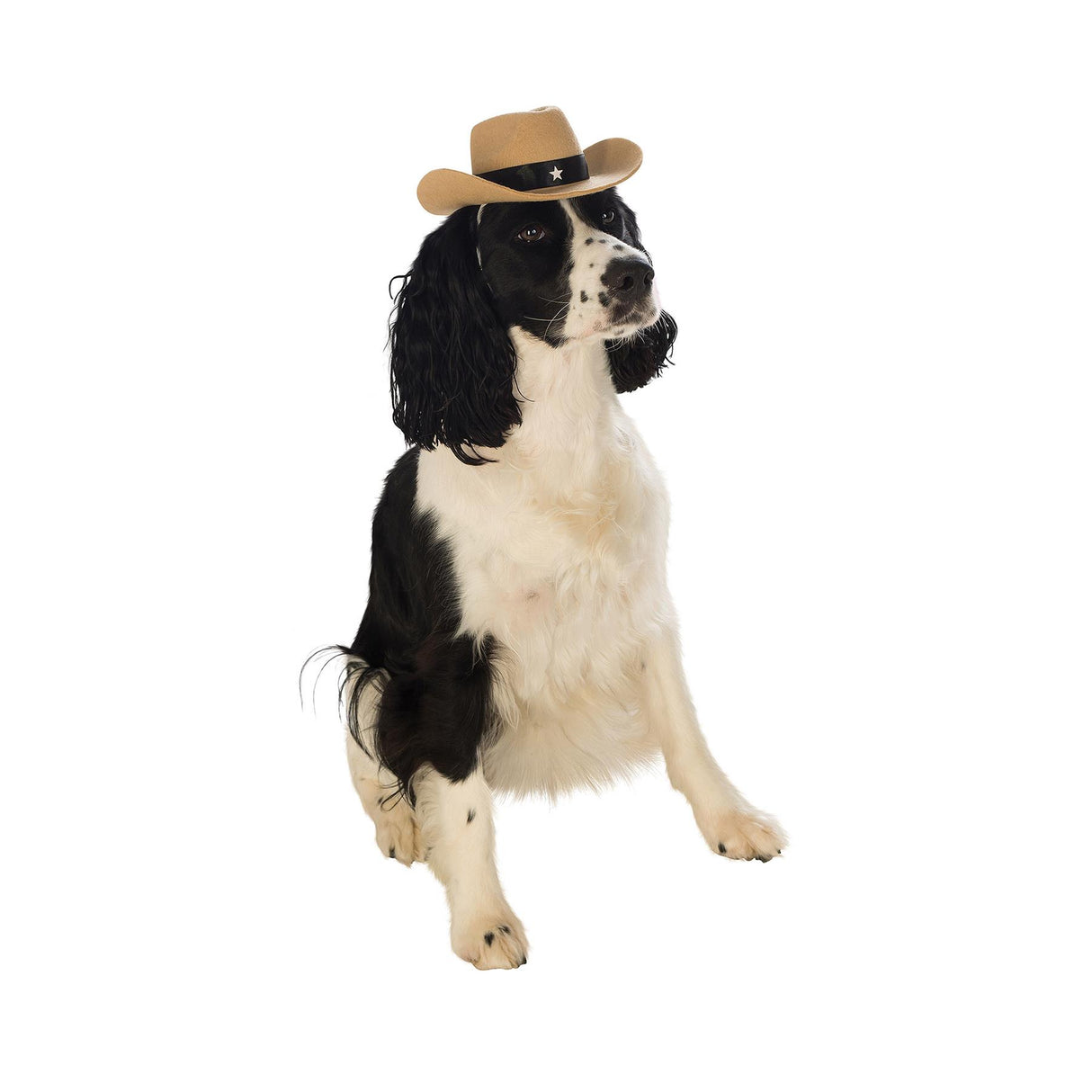 Cowboy Hat Pet Costume