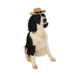 Cowboy Hat Pet Costume