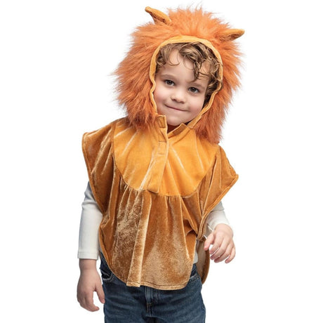 Boland - Lion Hooded Poncho - Child - Fancy Dress Central