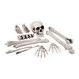 Boland - Skull & Bones Set - Party Decoration - Fancy Dress Central