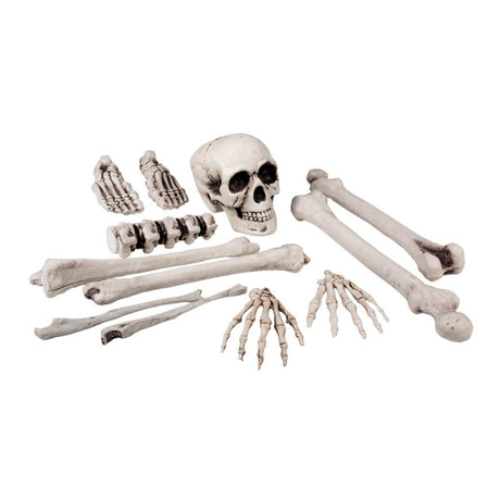 Boland - Skull & Bones Set - Party Decoration - Fancy Dress Central