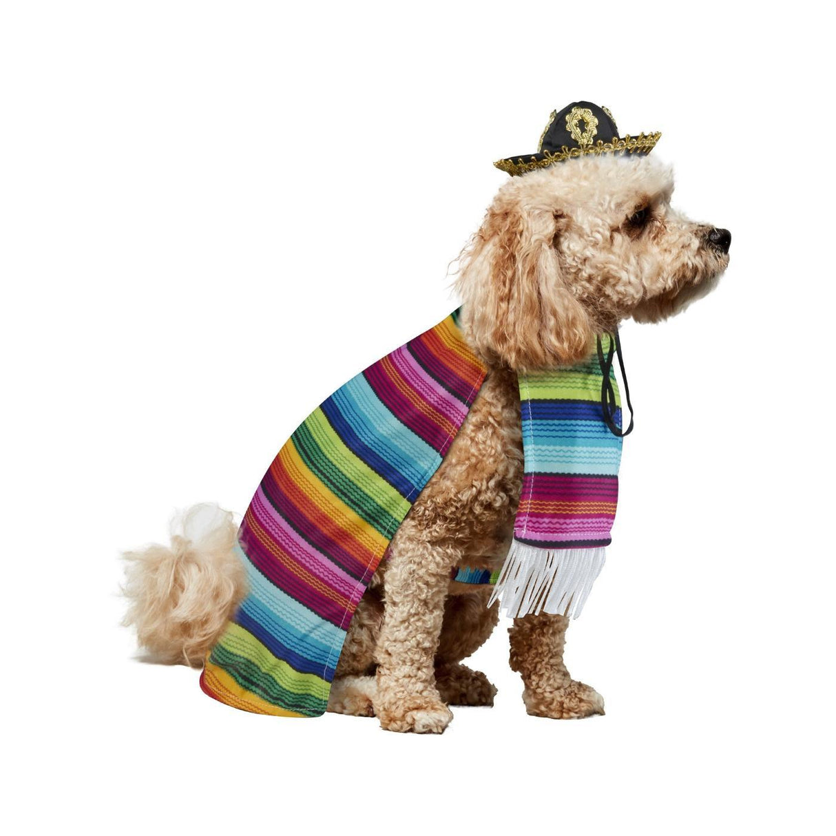 Mexican Serape Pet Costume