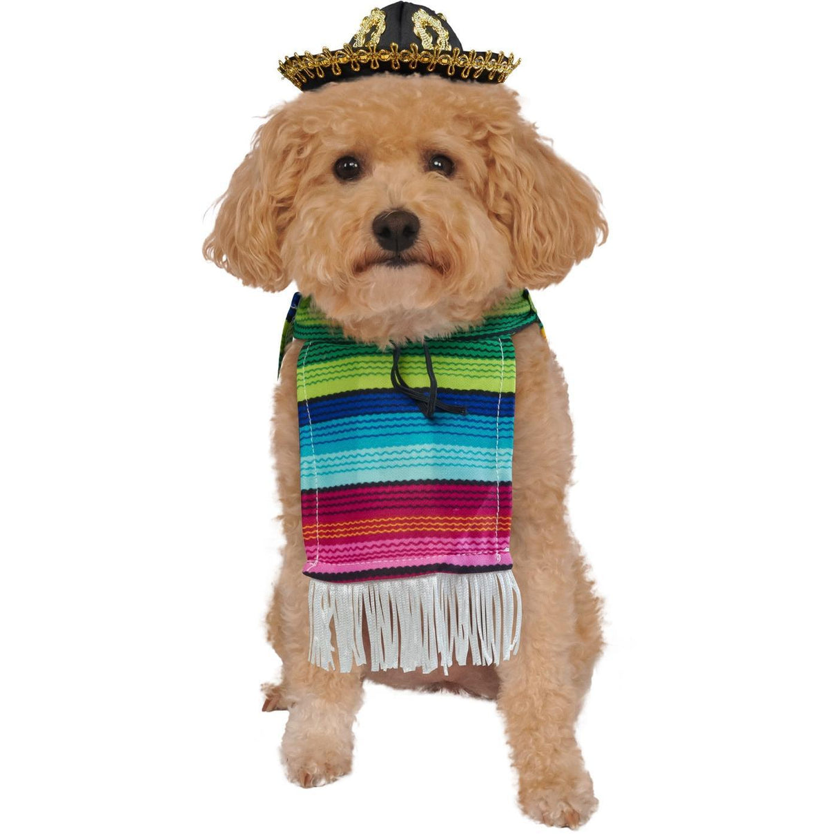 Mexican Serape Pet Costume